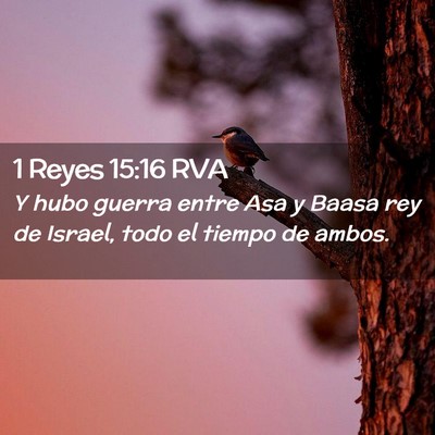 Picture 02 - 1 Reyes 15:16 RVA - Y hubo guerra entre Asa y Baasa rey de Israel, - Bible Verse Picture