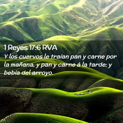 Picture 02 - 1 Reyes 17:6 RVA - Y los cuervos le traían pan y carne por la - Bible Verse Picture