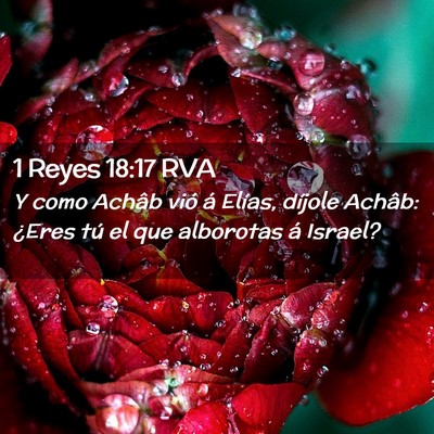 Picture 02 - 1 Reyes 18:17 RVA - Y como Achâb vió á Elías, díjole Achâb: - Bible Verse Picture