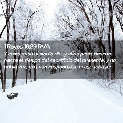 Picture 02 - 1 Reyes 18:29 RVA - Y como pasó el medio día, y ellos profetizaran - Bible Verse Picture