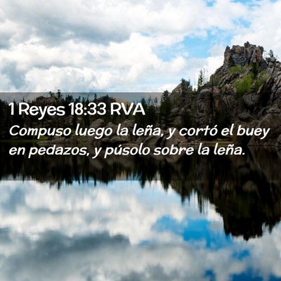 Picture 02 - 1 Reyes 18:33 RVA - Compuso luego la leña, y cortó el buey en - Bible Verse Picture