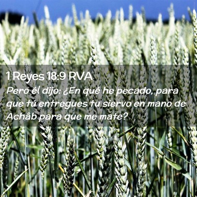 Picture 02 - 1 Reyes 18:9 RVA - Pero él dijo: ¿En qué he pecado, para que tú - Bible Verse Picture
