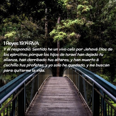 Picture 02 - 1 Reyes 19:14 RVA - Y él respondió: Sentido he un vivo celo por - Bible Verse Picture