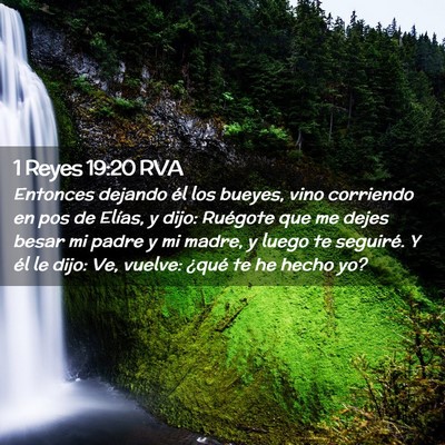 Picture 02 - 1 Reyes 19:20 RVA - Entonces dejando él los bueyes, vino corriendo - Bible Verse Picture