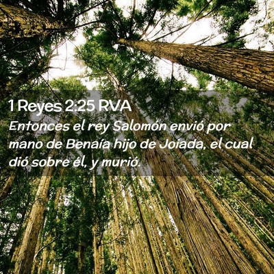 Picture 02 - 1 Reyes 2:25 RVA - Entonces el rey Salomón envió por mano de - Bible Verse Picture