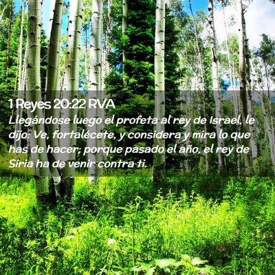 Picture 02 - 1 Reyes 20:22 RVA - Llegándose luego el profeta al rey de Israel, le - Bible Verse Picture