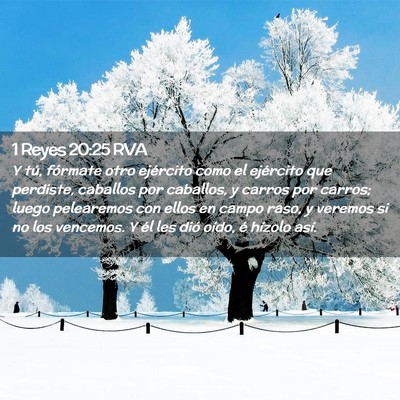 Picture 02 - 1 Reyes 20:25 RVA - Y tú, fórmate otro ejército como el ejército - Bible Verse Picture