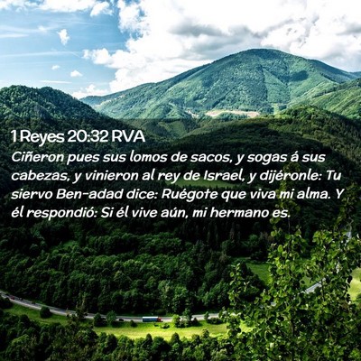 Picture 02 - 1 Reyes 20:32 RVA - Ciñeron pues sus lomos de sacos, y sogas á sus - Bible Verse Picture