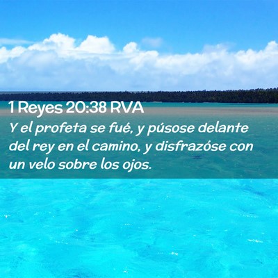 Picture 02 - 1 Reyes 20:38 RVA - Y el profeta se fué, y púsose delante del rey - Bible Verse Picture