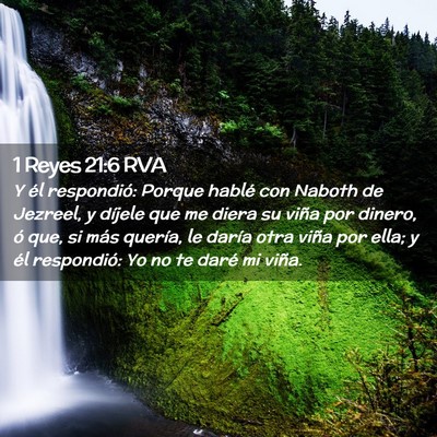 Picture 02 - 1 Reyes 21:6 RVA - Y él respondió: Porque hablé con Naboth de - Bible Verse Picture