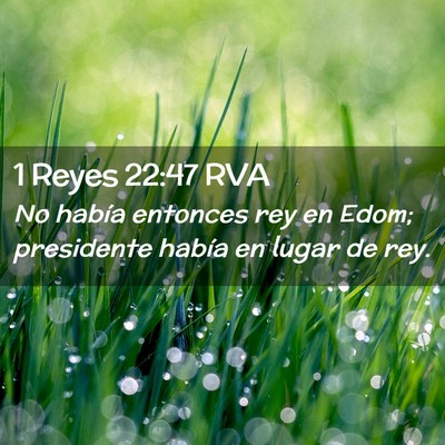 Picture 02 - 1 Reyes 22:47 RVA - No había entonces rey en Edom; presidente había - Bible Verse Picture