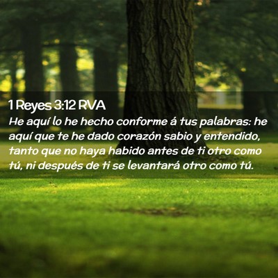 Picture 02 - 1 Reyes 3:12 RVA - He aquí lo he hecho conforme á tus palabras: he - Bible Verse Picture