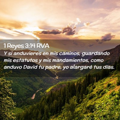 Picture 02 - 1 Reyes 3:14 RVA - Y si anduvieres en mis caminos, guardando mis - Bible Verse Picture