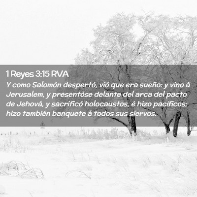 Picture 02 - 1 Reyes 3:15 RVA - Y como Salomón despertó, vió que era sueño: y - Bible Verse Picture