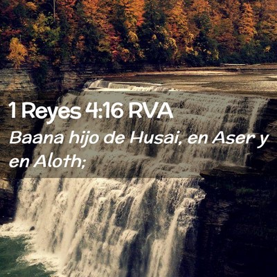 Picture 02 - 1 Reyes 4:16 RVA - Baana hijo de Husai, en Aser y en - Bible Verse Picture