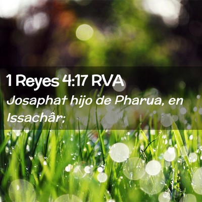 Picture 02 - 1 Reyes 4:17 RVA - Josaphat hijo de Pharua, en - Bible Verse Picture