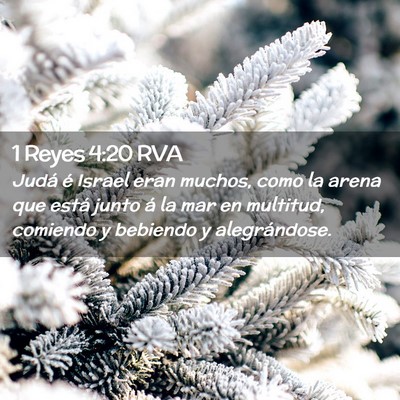 Picture 02 - 1 Reyes 4:20 RVA - Judá é Israel eran muchos, como la arena que - Bible Verse Picture