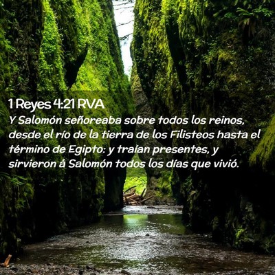 Picture 02 - 1 Reyes 4:21 RVA - Y Salomón señoreaba sobre todos los reinos, - Bible Verse Picture