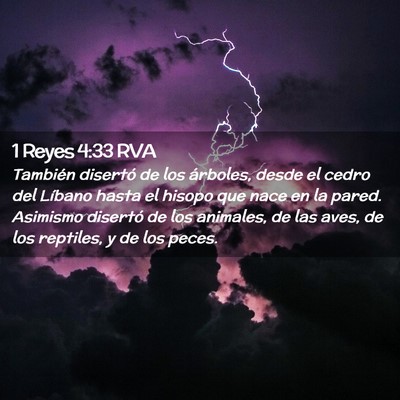 Picture 02 - 1 Reyes 4:33 RVA - También disertó de los árboles, desde el cedro - Bible Verse Picture