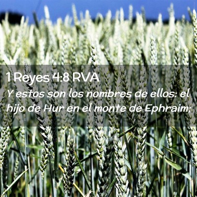 Picture 02 - 1 Reyes 4:8 RVA - Y estos son los nombres de ellos: el hijo de Hur - Bible Verse Picture