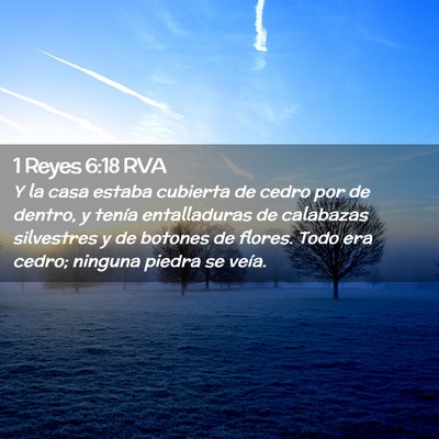 Picture 02 - 1 Reyes 6:18 RVA - Y la casa estaba cubierta de cedro por de dentro, - Bible Verse Picture