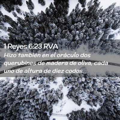 Picture 02 - 1 Reyes 6:23 RVA - Hizo también en el oráculo dos querubines de - Bible Verse Picture