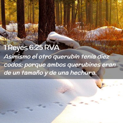 Picture 02 - 1 Reyes 6:25 RVA - Asimismo el otro querubín tenía diez codos; - Bible Verse Picture