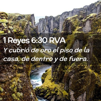 Picture 02 - 1 Reyes 6:30 RVA - Y cubrió de oro el piso de la casa, de dentro y - Bible Verse Picture