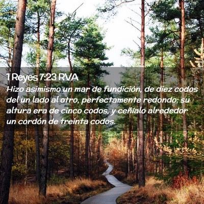 Picture 02 - 1 Reyes 7:23 RVA - Hizo asimismo un mar de fundición, de diez codos - Bible Verse Picture