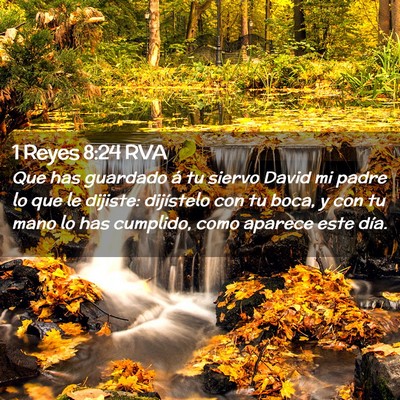 Picture 02 - 1 Reyes 8:24 RVA - Que has guardado á tu siervo David mi padre lo - Bible Verse Picture