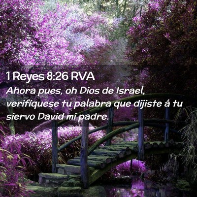 Picture 02 - 1 Reyes 8:26 RVA - Ahora pues, oh Dios de Israel, verifíquese tu - Bible Verse Picture