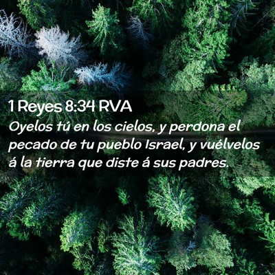 Picture 02 - 1 Reyes 8:34 RVA - Oyelos tú en los cielos, y perdona el pecado de - Bible Verse Picture