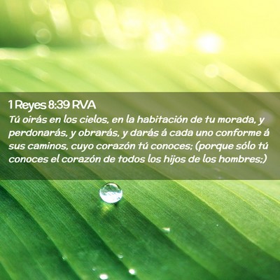 Picture 02 - 1 Reyes 8:39 RVA - Tú oirás en los cielos, en la habitación de tu - Bible Verse Picture