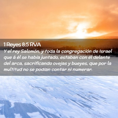 Picture 02 - 1 Reyes 8:5 RVA - Y el rey Salomón, y toda la congregación de - Bible Verse Picture
