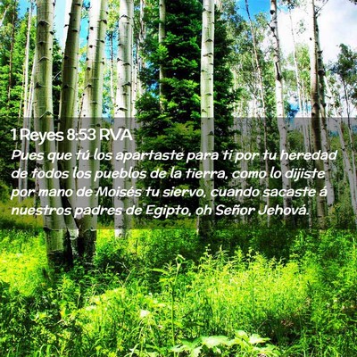 Picture 02 - 1 Reyes 8:53 RVA - Pues que tú los apartaste para ti por tu heredad - Bible Verse Picture
