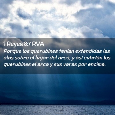 Picture 02 - 1 Reyes 8:7 RVA - Porque los querubines tenían extendidas las alas - Bible Verse Picture