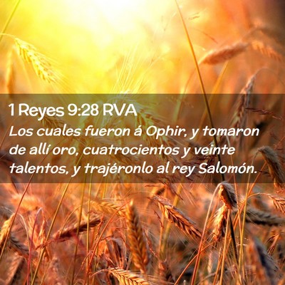 Picture 02 - 1 Reyes 9:28 RVA - Los cuales fueron á Ophir, y tomaron de allí - Bible Verse Picture