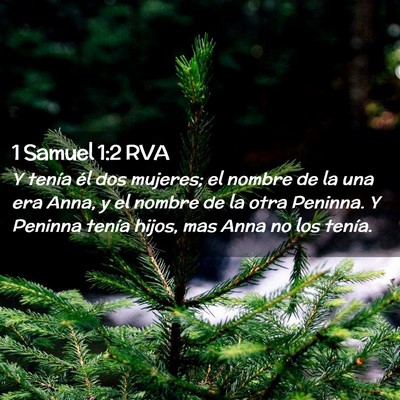 Picture 02 - 1 Samuel 1:2 RVA - Y tenía él dos mujeres; el nombre de la una era - Bible Verse Picture