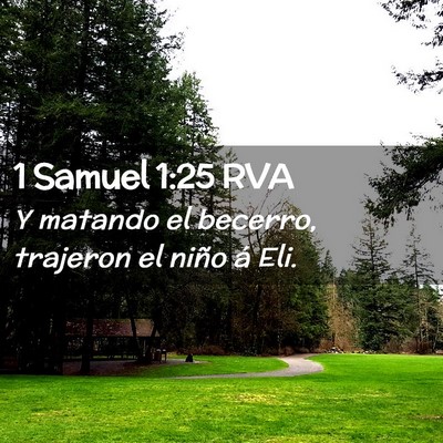 Picture 02 - 1 Samuel 1:25 RVA - Y matando el becerro, trajeron el niño á - Bible Verse Picture