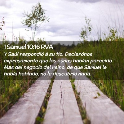 Picture 02 - 1 Samuel 10:16 RVA - Y Saúl respondió á su tío: Declarónos - Bible Verse Picture