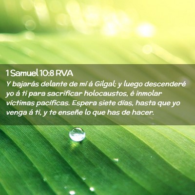 Picture 02 - 1 Samuel 10:8 RVA - Y bajarás delante de mí á Gilgal; y luego - Bible Verse Picture