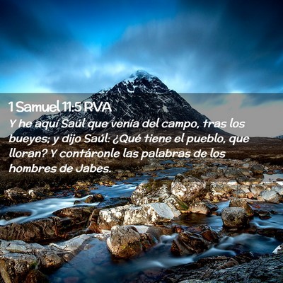 Picture 02 - 1 Samuel 11:5 RVA - Y he aquí Saúl que venía del campo, tras los - Bible Verse Picture