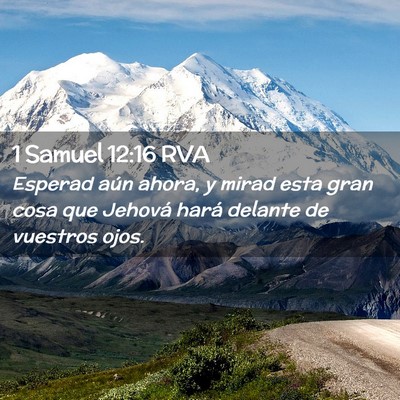 Picture 02 - 1 Samuel 12:16 RVA - Esperad aún ahora, y mirad esta gran cosa que - Bible Verse Picture