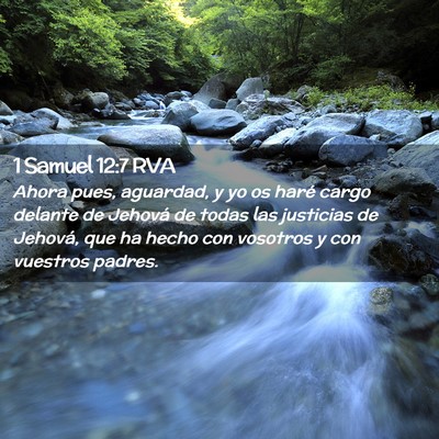 Picture 02 - 1 Samuel 12:7 RVA - Ahora pues, aguardad, y yo os haré cargo delante - Bible Verse Picture