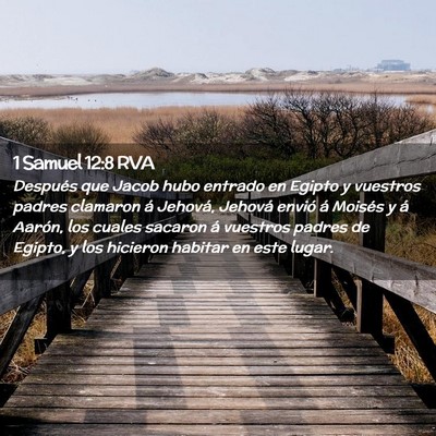 Picture 02 - 1 Samuel 12:8 RVA - Después que Jacob hubo entrado en Egipto y - Bible Verse Picture
