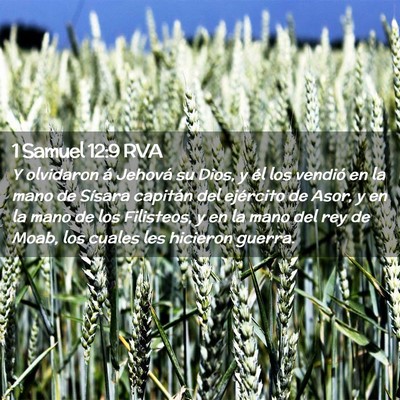 Picture 02 - 1 Samuel 12:9 RVA - Y olvidaron á Jehová su Dios, y él los vendió - Bible Verse Picture