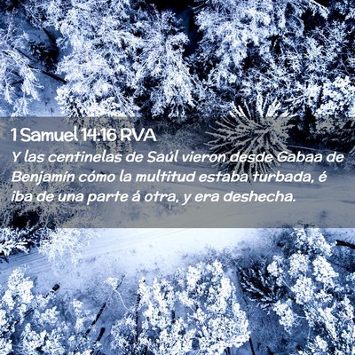 Picture 02 - 1 Samuel 14:16 RVA - Y las centinelas de Saúl vieron desde Gabaa de - Bible Verse Picture