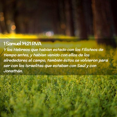 Picture 02 - 1 Samuel 14:21 RVA - Y los Hebreos que habían estado con los - Bible Verse Picture