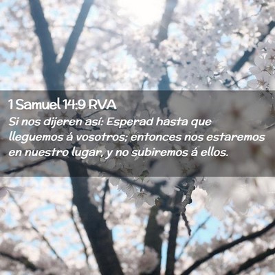 Picture 02 - 1 Samuel 14:9 RVA - Si nos dijeren así: Esperad hasta que lleguemos - Bible Verse Picture