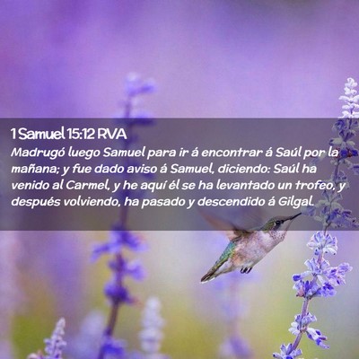 Picture 02 - 1 Samuel 15:12 RVA - Madrugó luego Samuel para ir á encontrar á - Bible Verse Picture